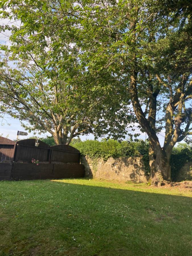 North Lodge Self Contained Guest Accommodations Kilkea Eksteriør bilde
