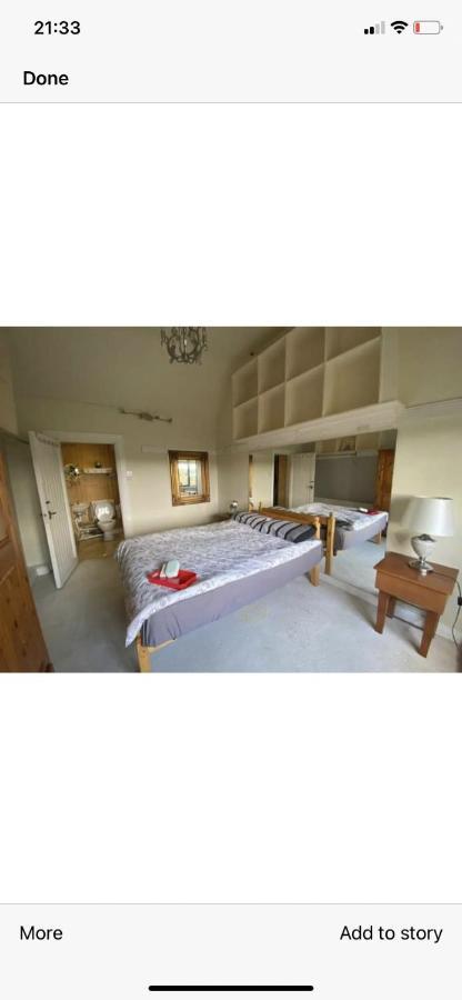 North Lodge Self Contained Guest Accommodations Kilkea Eksteriør bilde