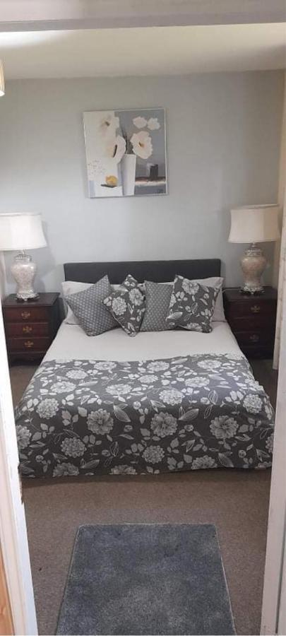 North Lodge Self Contained Guest Accommodations Kilkea Eksteriør bilde
