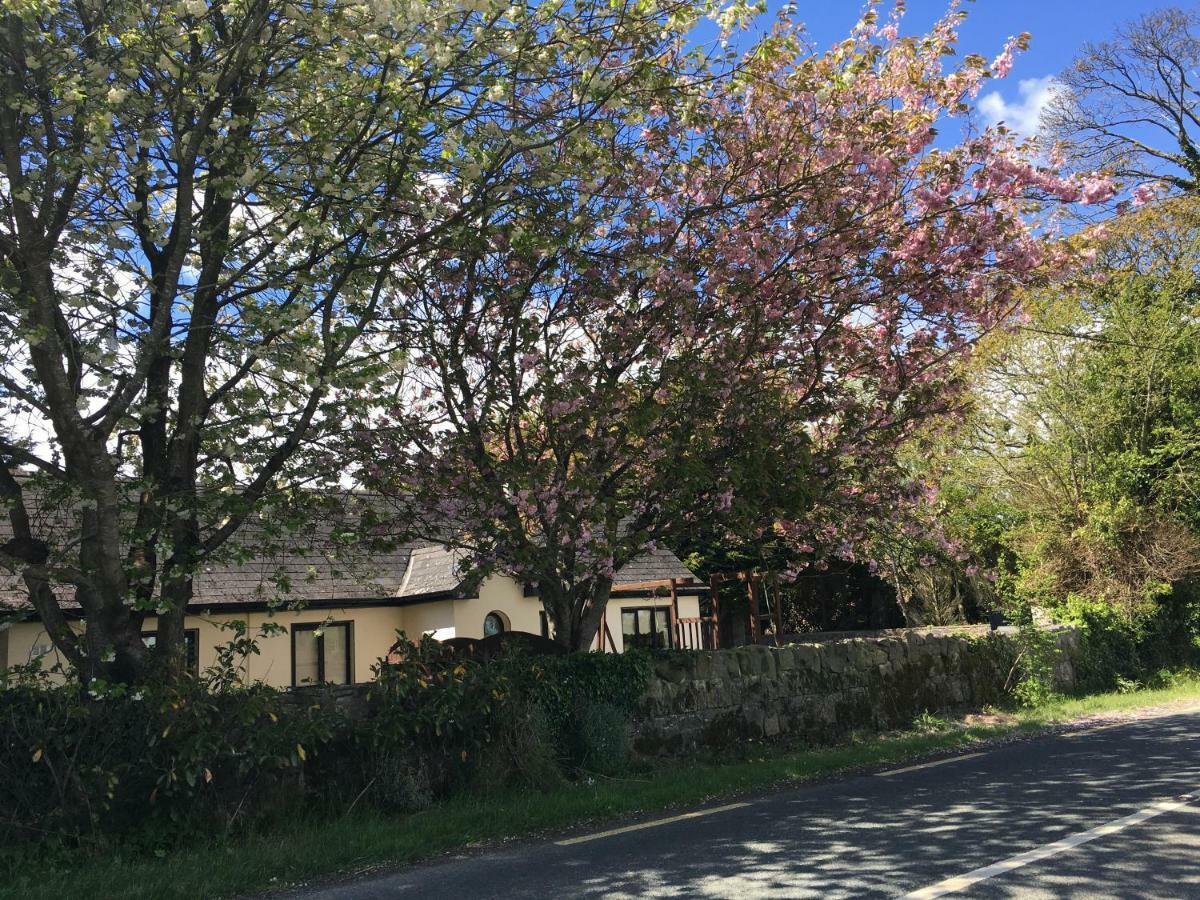 North Lodge Self Contained Guest Accommodations Kilkea Eksteriør bilde