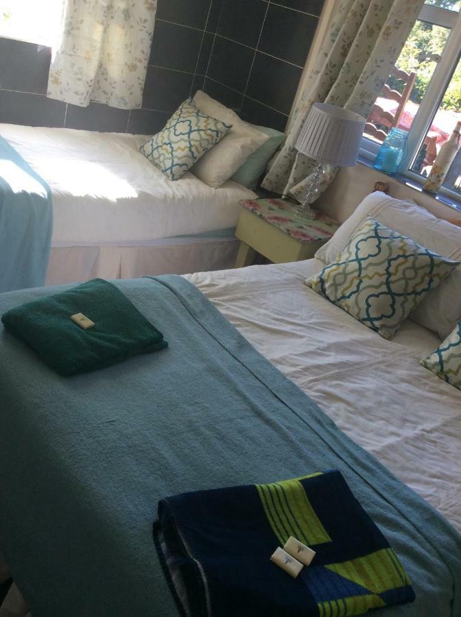 North Lodge Self Contained Guest Accommodations Kilkea Eksteriør bilde
